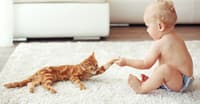 EVCİL HAYVAN SAHİPLENMEK MERHAMET İŞİDİR