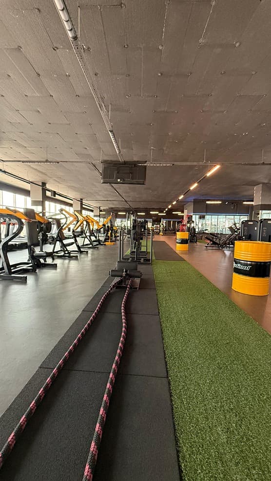 Es Fit Premium