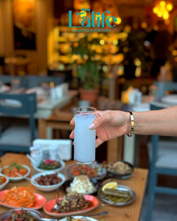 Latife Meyhane - 10. Fotoğraf Latife Meyhane - 10. Fotoğraf
