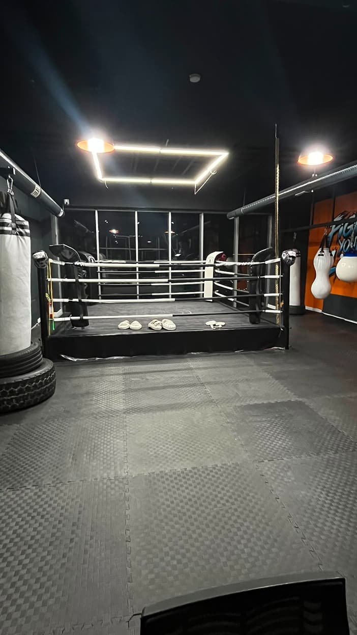 Alfa Fight Studio