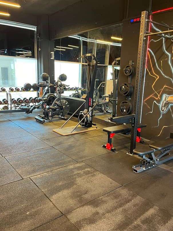 Alfa Fight Studio