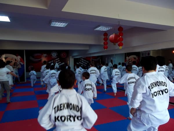 Yaşamkent Koryo Spor Kulübü - 12. Fotoğraf Yaşamkent Koryo Spor Kulübü - 12. Fotoğraf
