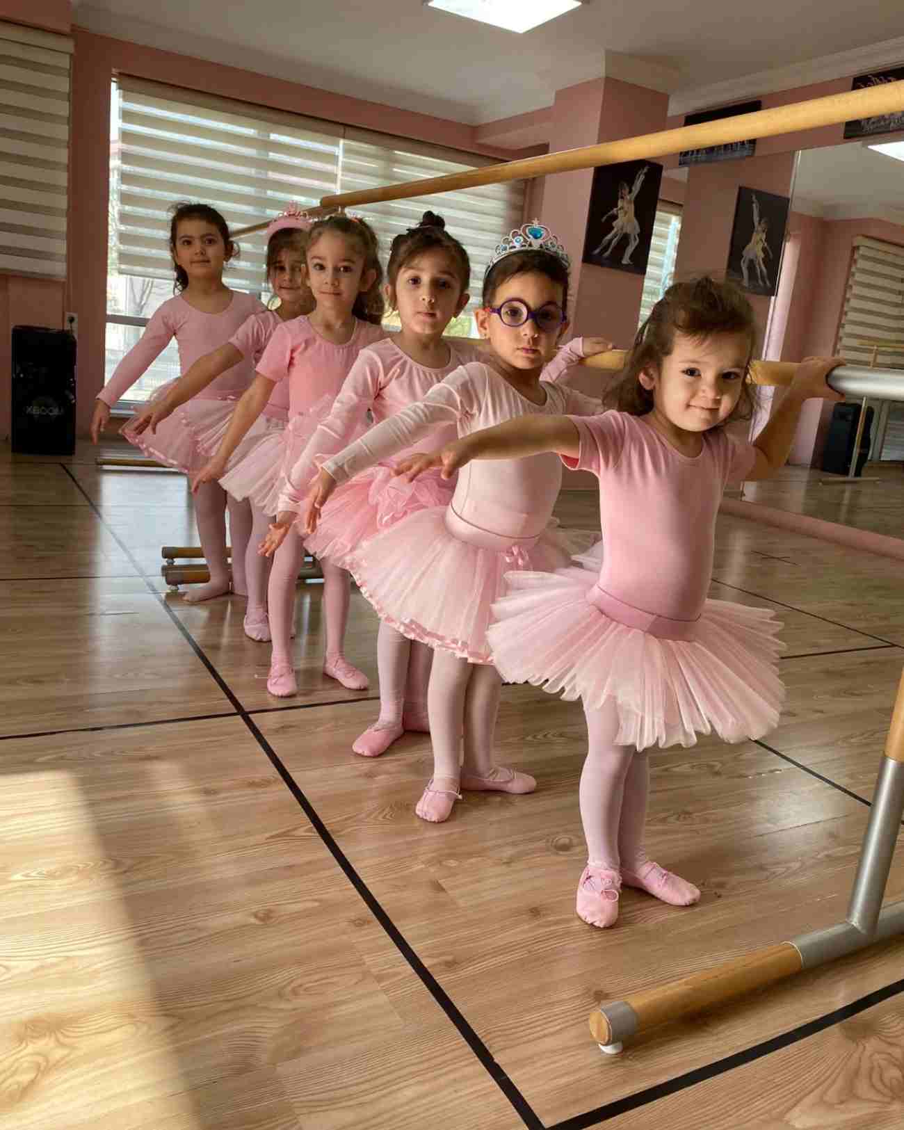 Demiurk Sanat Akademi - Demetevler Akordeon Kursları - 3. Fotoğraf