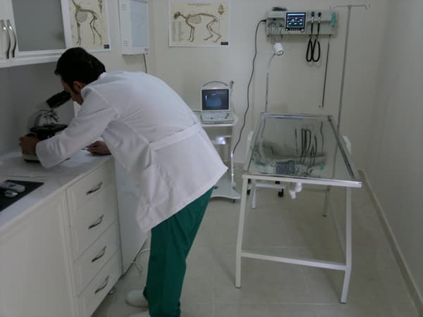 İncek Petlife Veteriner Kliniği - 2. Fotoğraf