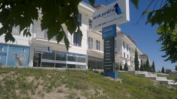 İncek Petlife Veteriner Kliniği - 8. Fotoğraf