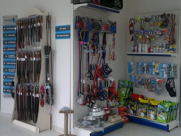İncek Petlife Veteriner Kliniği - 3. Fotoğraf İncek Petlife Veteriner Kliniği - 3. Fotoğraf