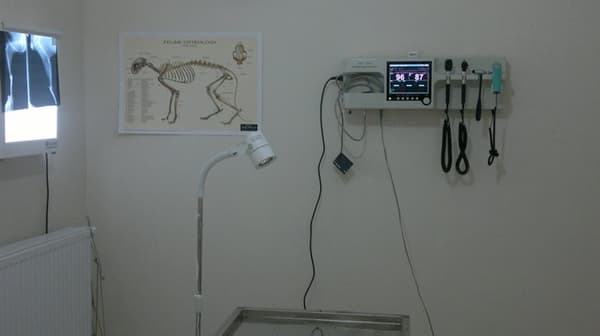 İncek Petlife Veteriner Kliniği - 10. Fotoğraf