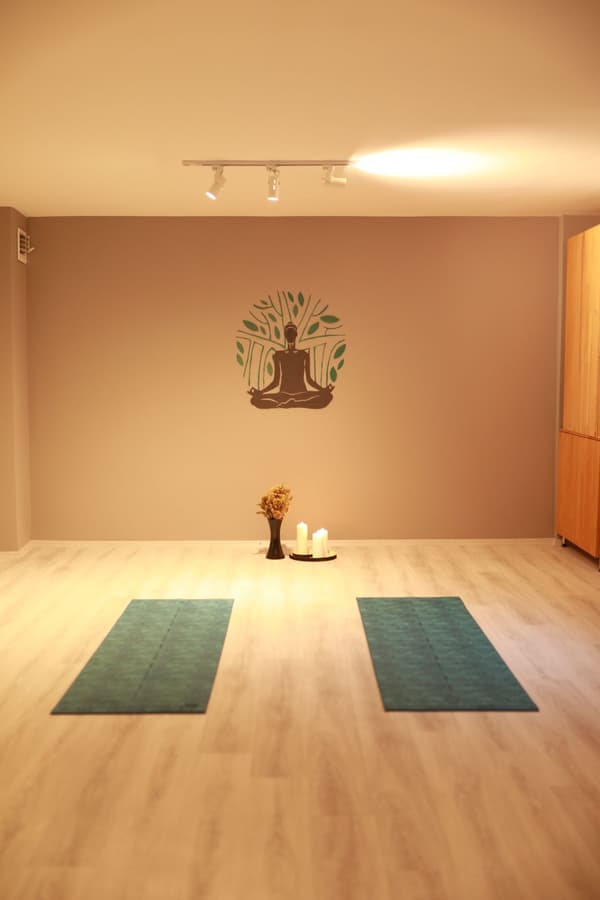 Jungle Pilates Training Studio - 23. Fotoğraf Jungle Pilates Training Studio - 23. Fotoğraf