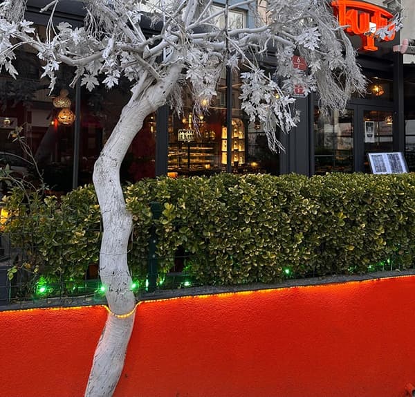 Kuytu Meze Balık - 21. Fotoğraf Kuytu Meze Balık - 21. Fotoğraf