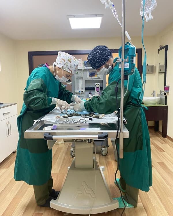 Pet Care Veteriner Kliniği - 1. Fotoğraf