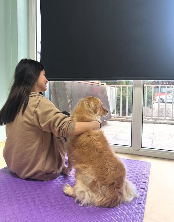 Pet Care Veteriner Kliniği - 18. Fotoğraf Pet Care Veteriner Kliniği - 18. Fotoğraf