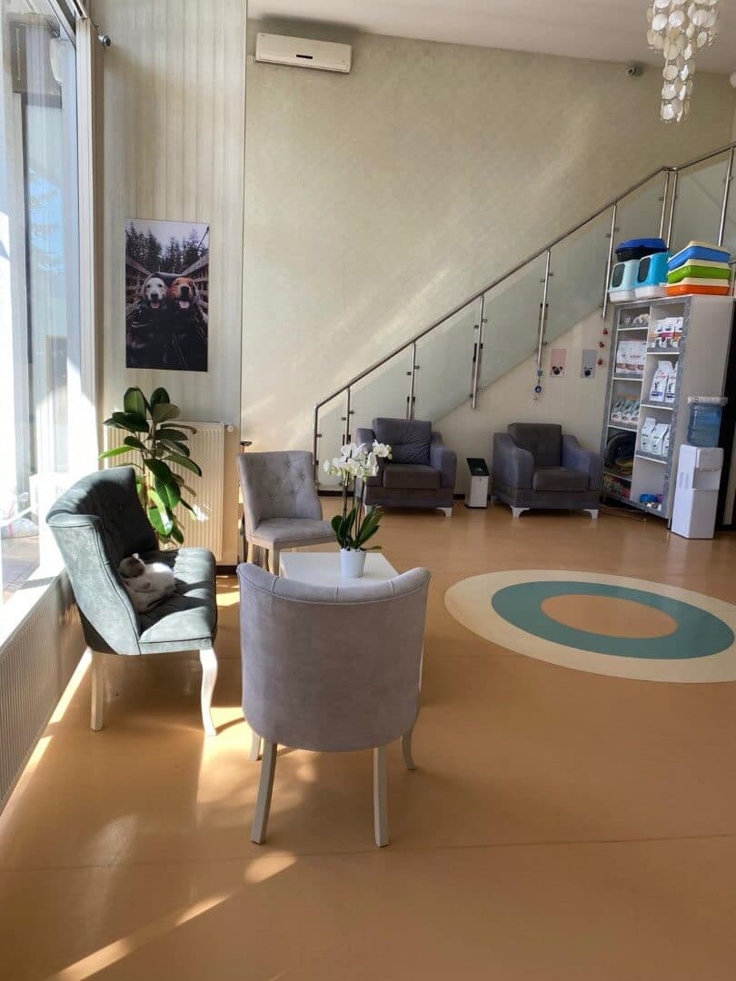 Pet Care Veteriner Kliniği