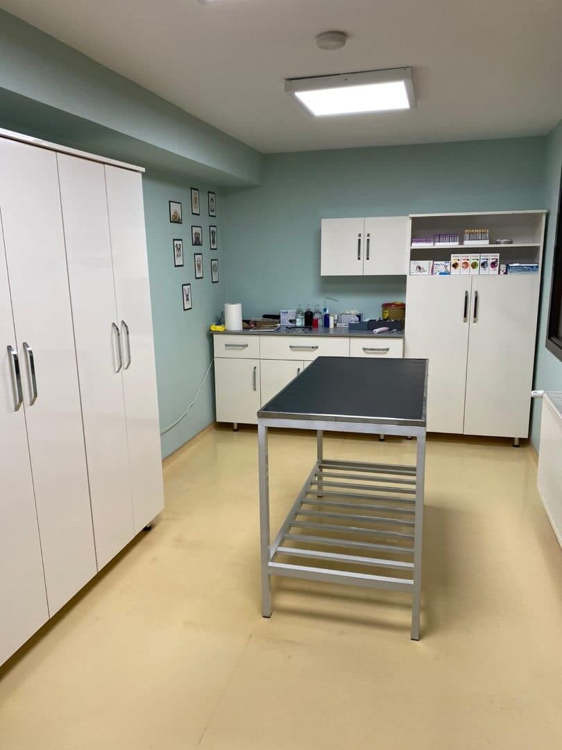 Pet Care Veteriner Kliniği - Yıldız Mekanları - 4. Fotoğraf