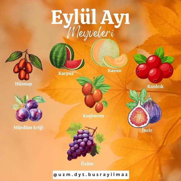 Uzman Diyetisyen Büşra Yılmaz - 22. Fotoğraf