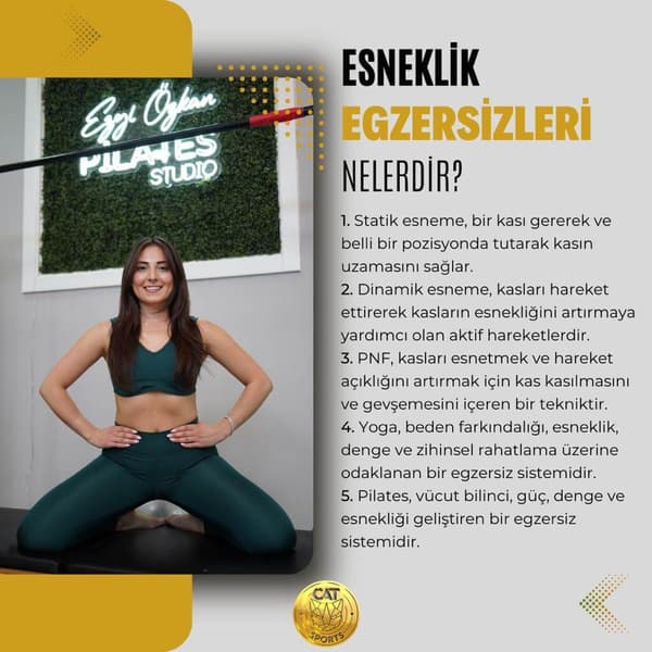 Cat Sports - 4. Fotoğraf
