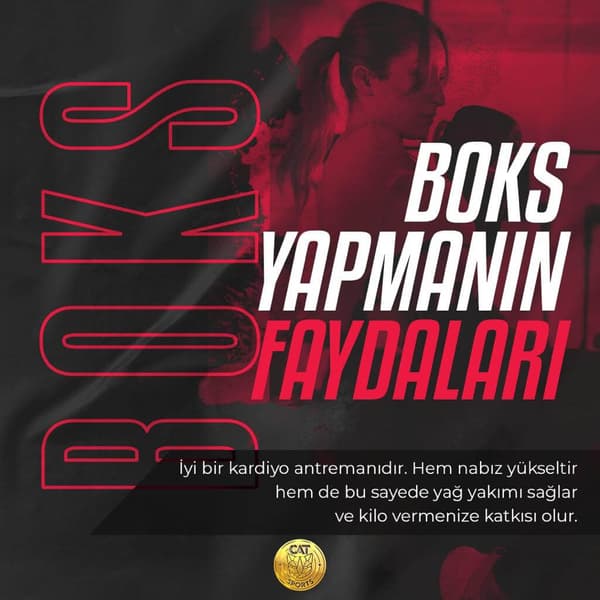 Cat Sports - 8. Fotoğraf