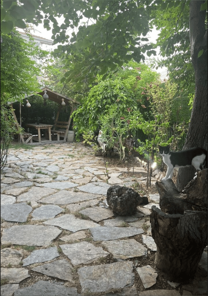 Mead Boutique Sports  - 2. Fotoğraf