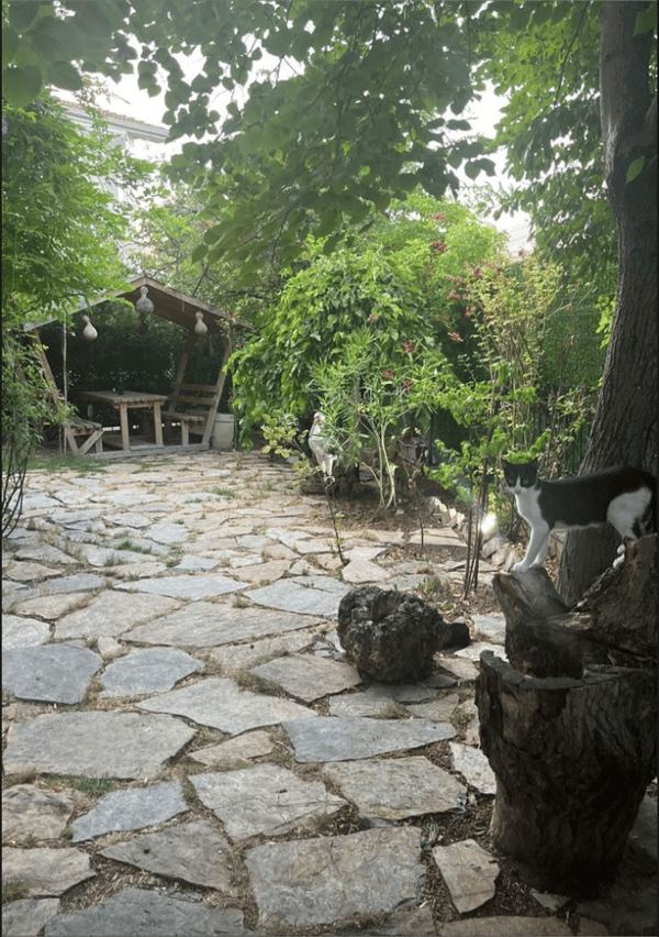 Mead Boutique Sports - 2. Fotoğraf Mead Boutique Sports - 2. Fotoğraf