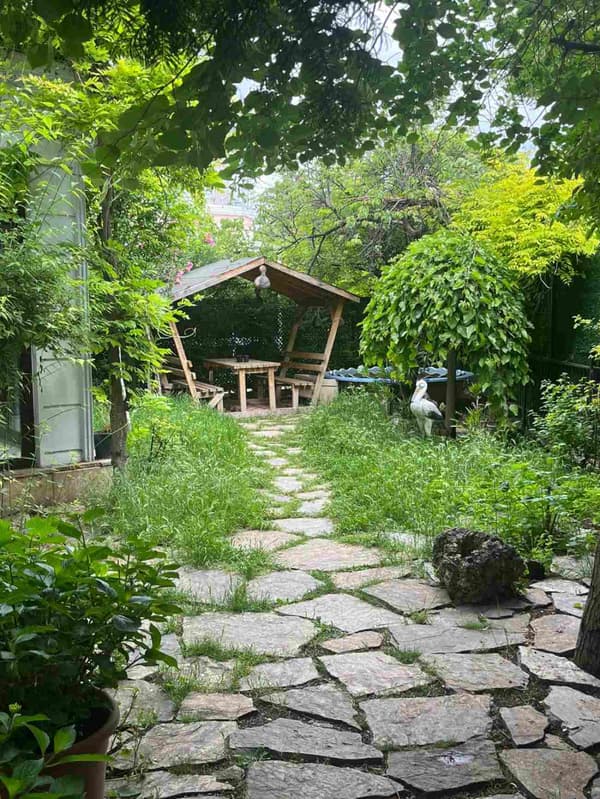 Mead Boutique Sports - 14. Fotoğraf Mead Boutique Sports - 14. Fotoğraf