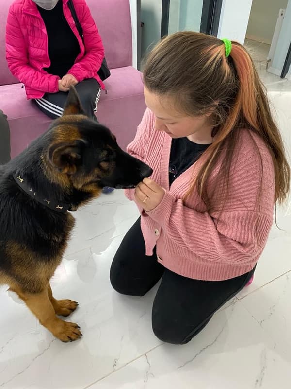 Pet Care Center - 2. Fotoğraf