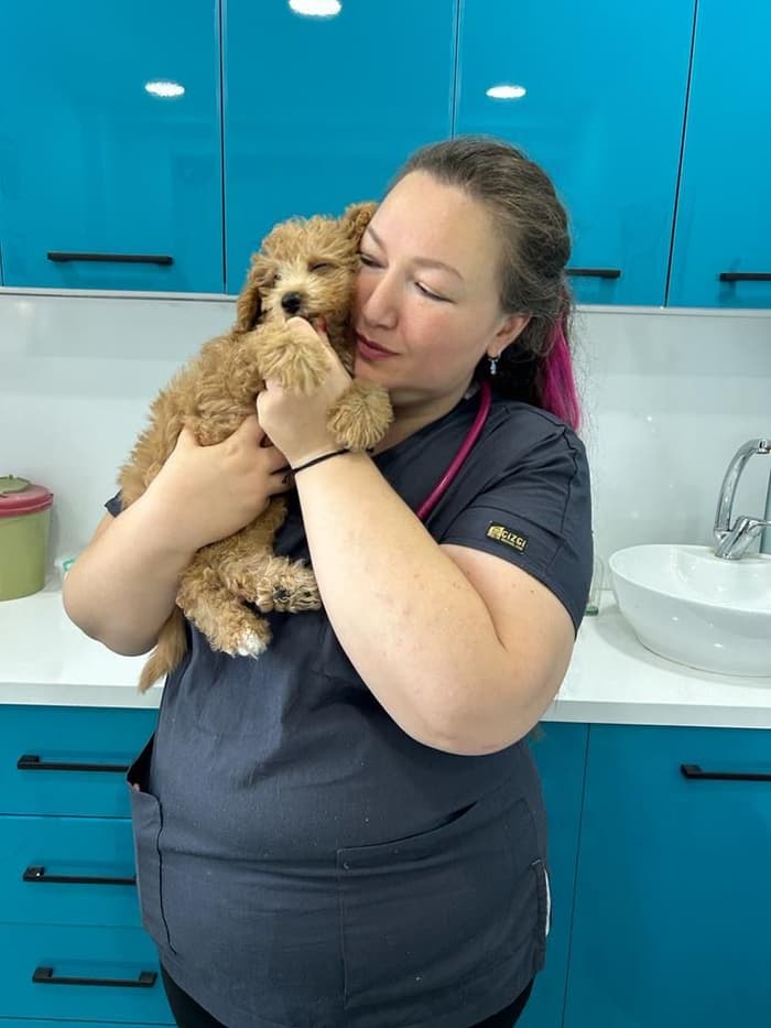 Pet Care Center - 4. Fotoğraf