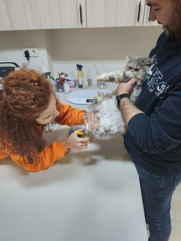 Vetes Veteriner Kliniği - 1. Fotoğraf