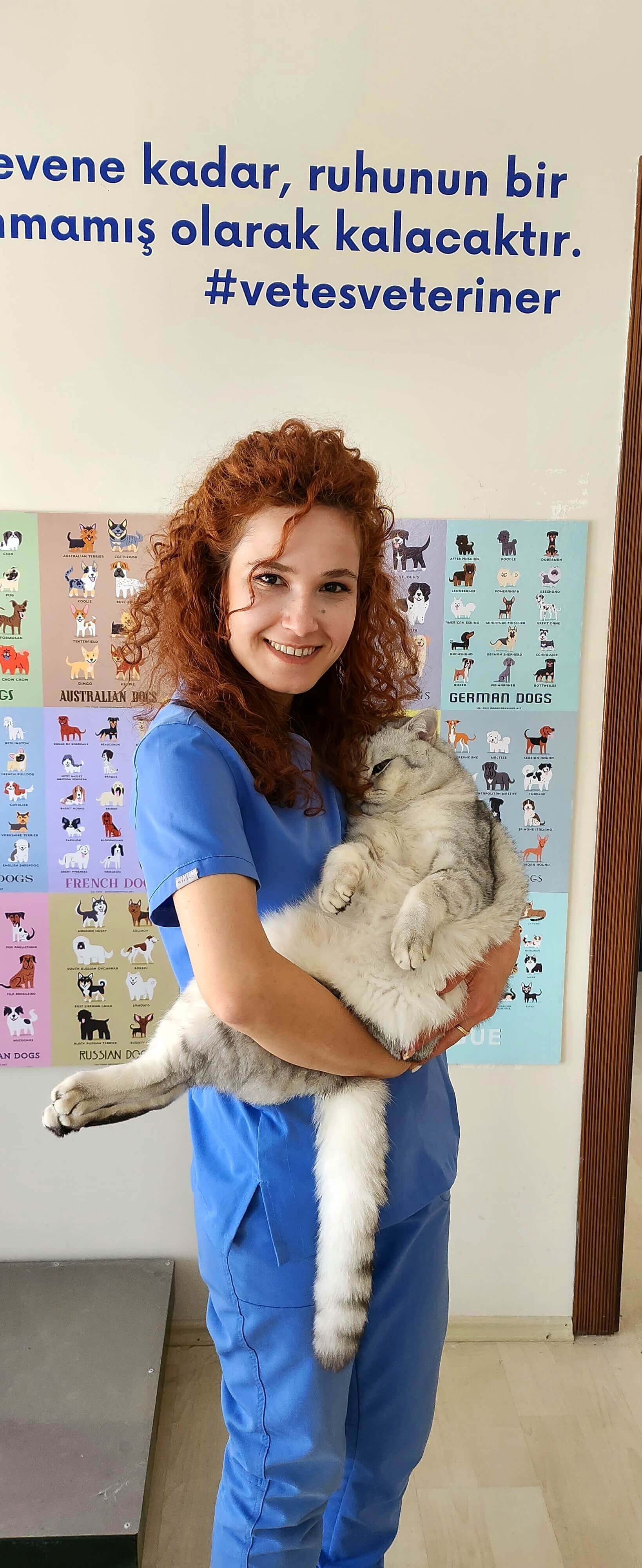 Vetes Veteriner Kliniği