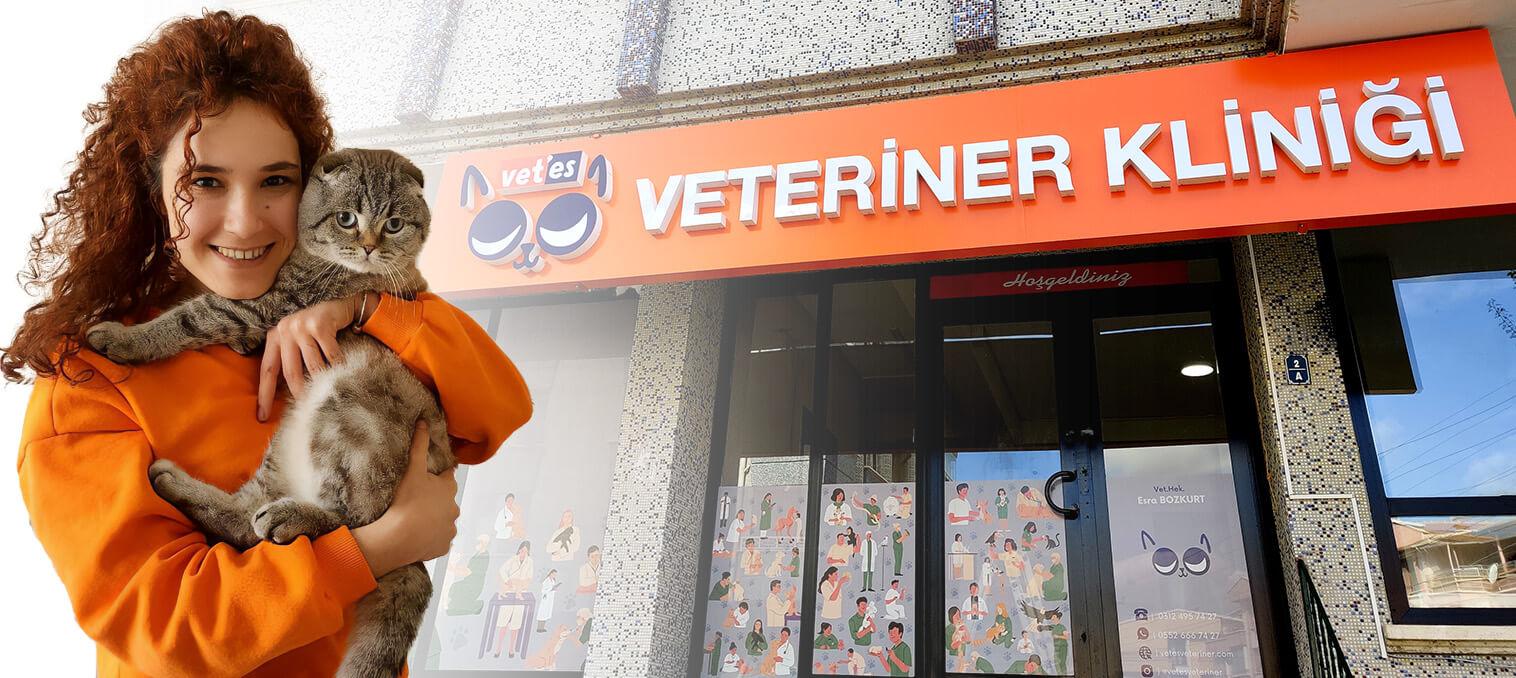 Vetes Veteriner Kliniği