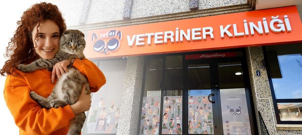 Vetes Veteriner Kliniği - 5. Fotoğraf