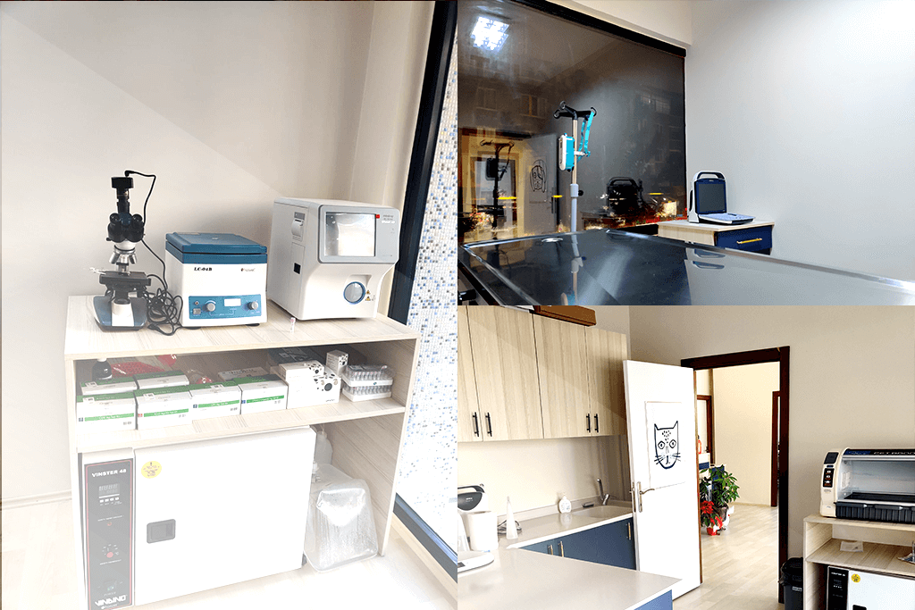 Vetes Veteriner Kliniği