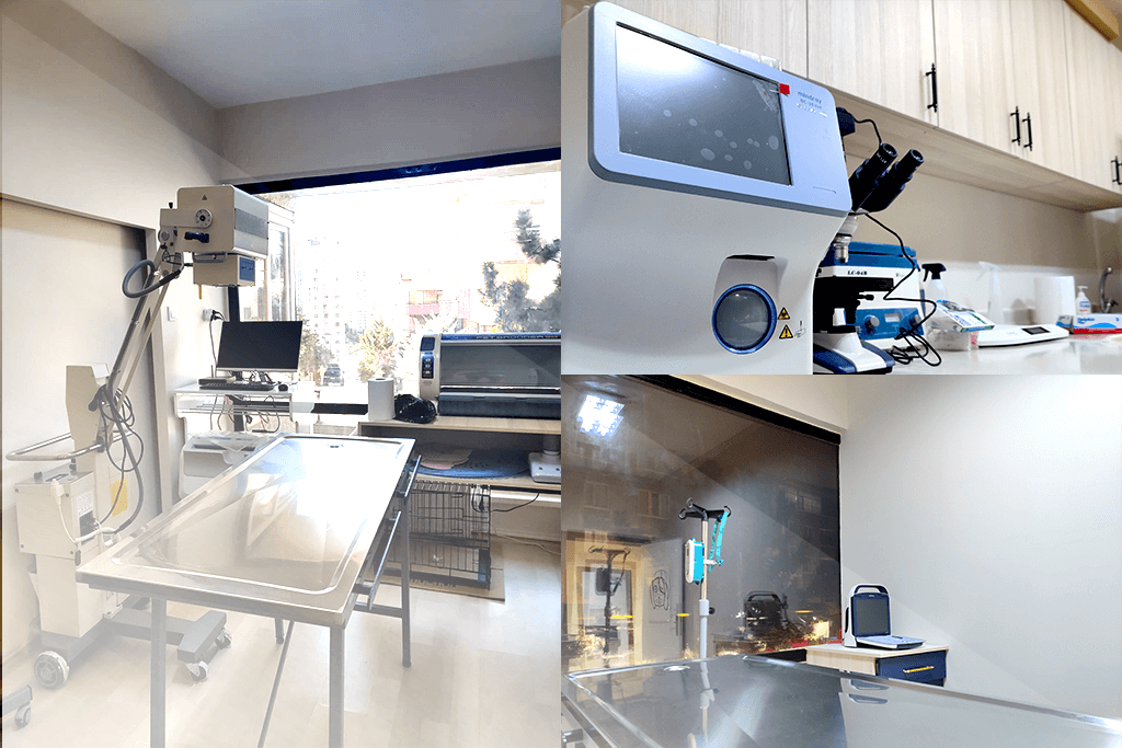 Vetes Veteriner Kliniği