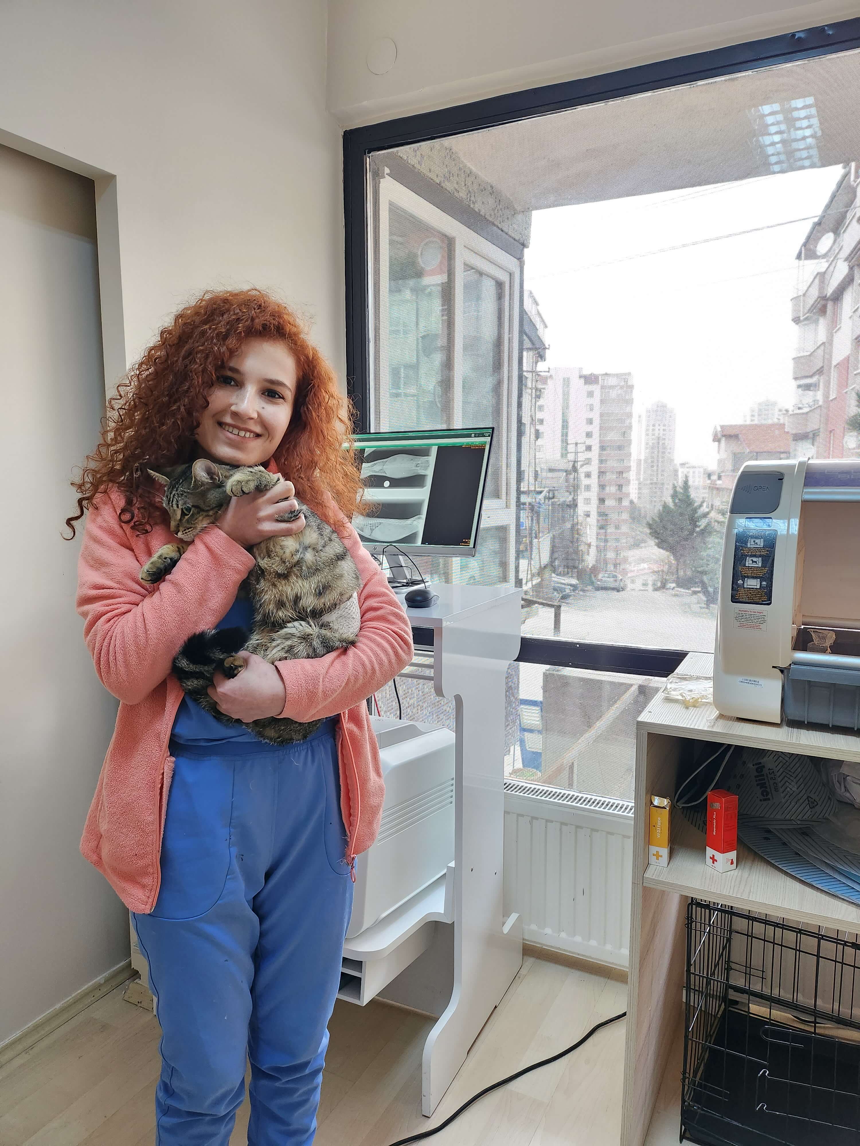 Vetes Veteriner Kliniği