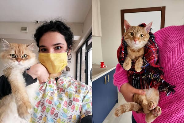 Vetes Veteriner Kliniği - 11. Fotoğraf