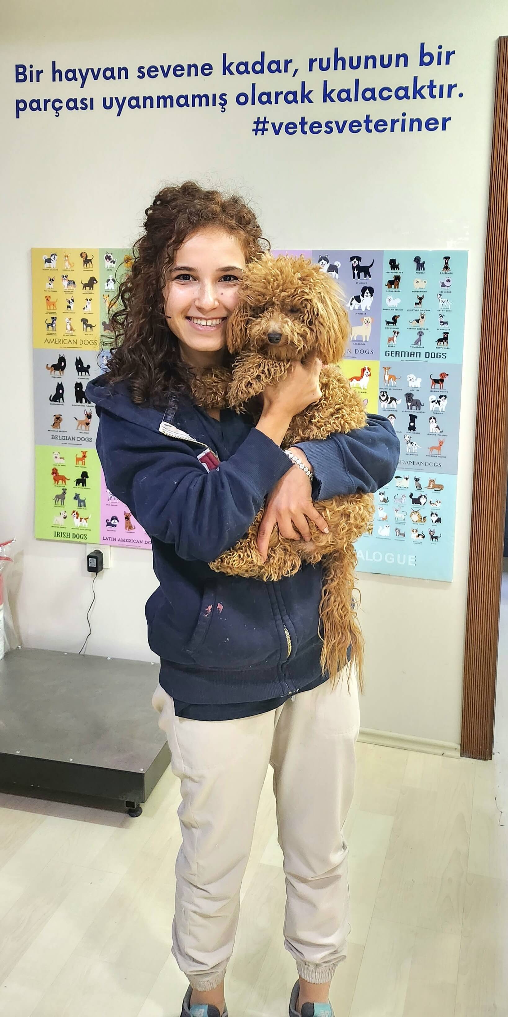 Vetes Veteriner Kliniği