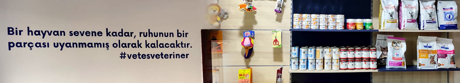 Vetes Veteriner Kliniği