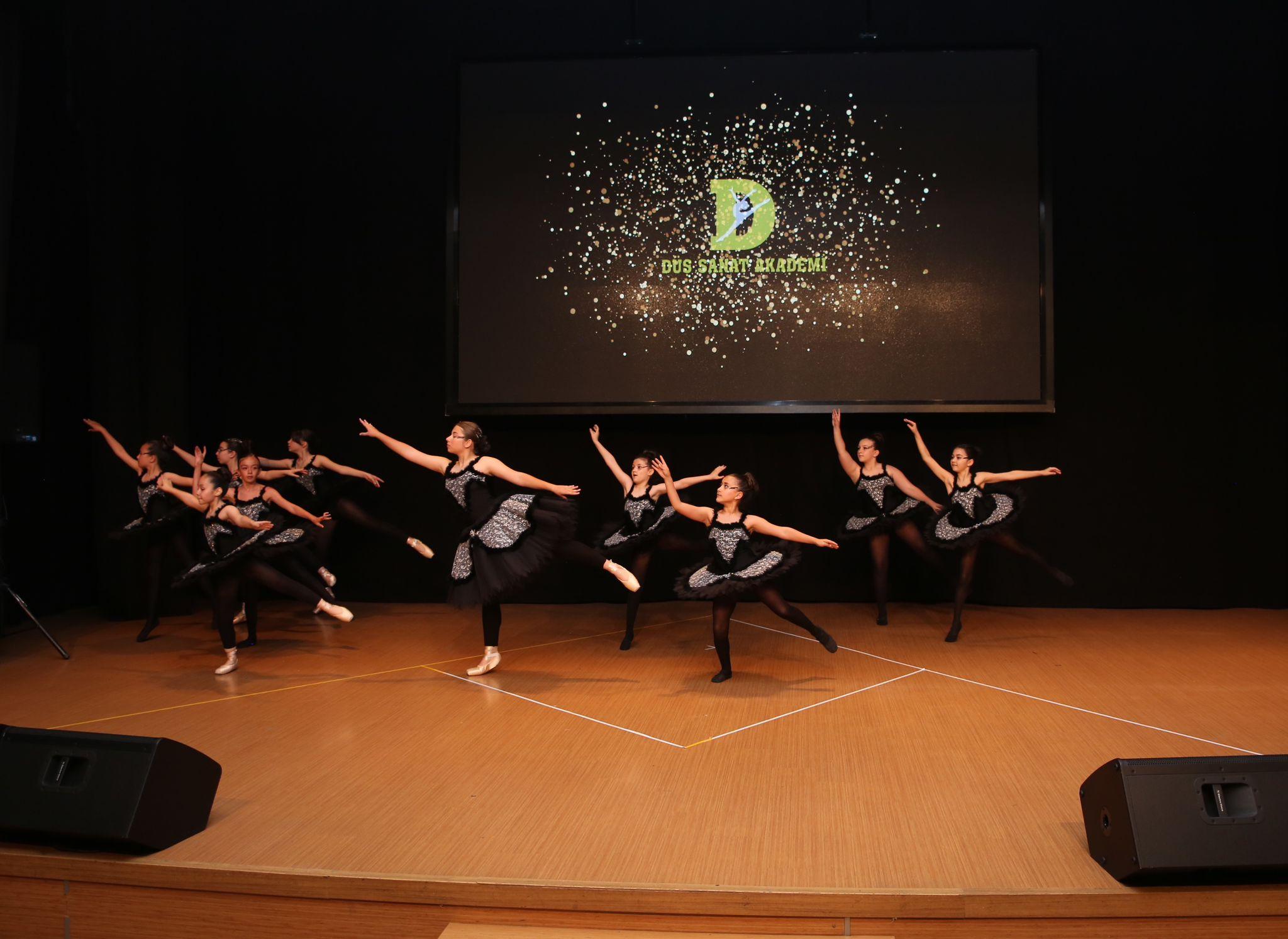 TC. MEB Düş Sanat Akademi