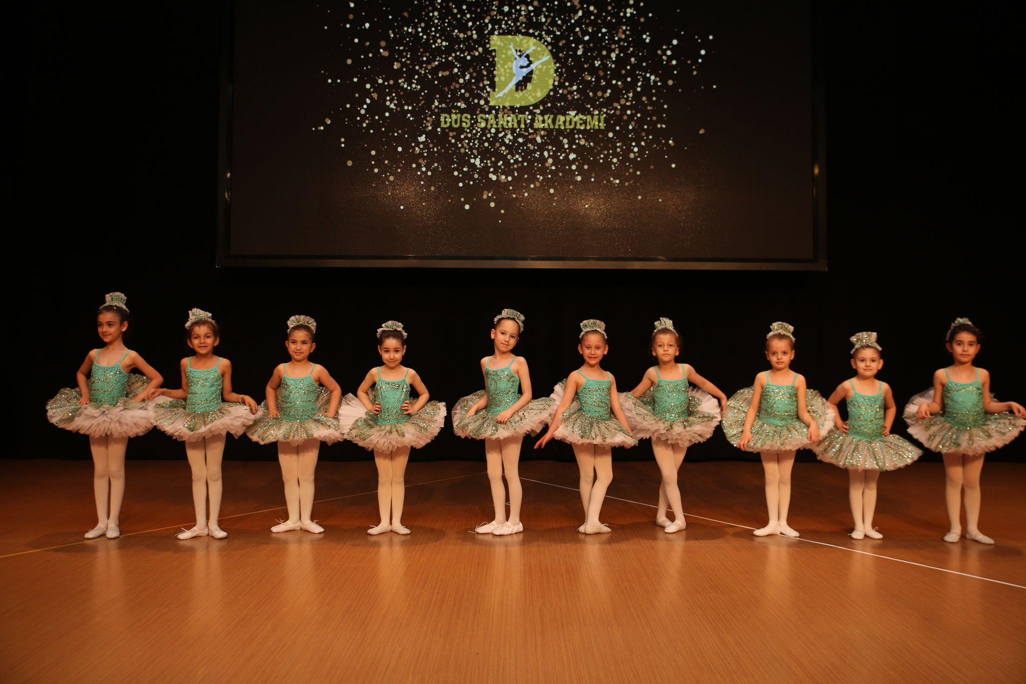 TC. MEB Düş Sanat Akademi