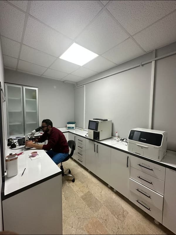 Telepati Hayvan Hastanesi Keçiören - 4. Fotoğraf