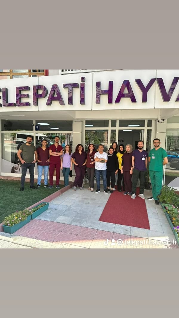 Telepati Hayvan Hastanesi Keçiören - 2. Fotoğraf