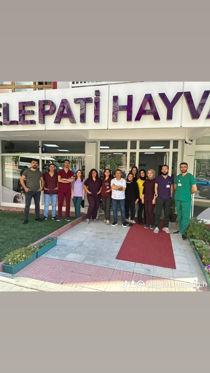 Telepati Hayvan Hastanesi Keçiören - 2. Fotoğraf