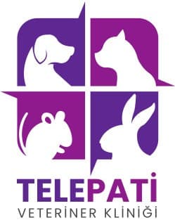 Telepati Hayvan Hastanesi Keçiören