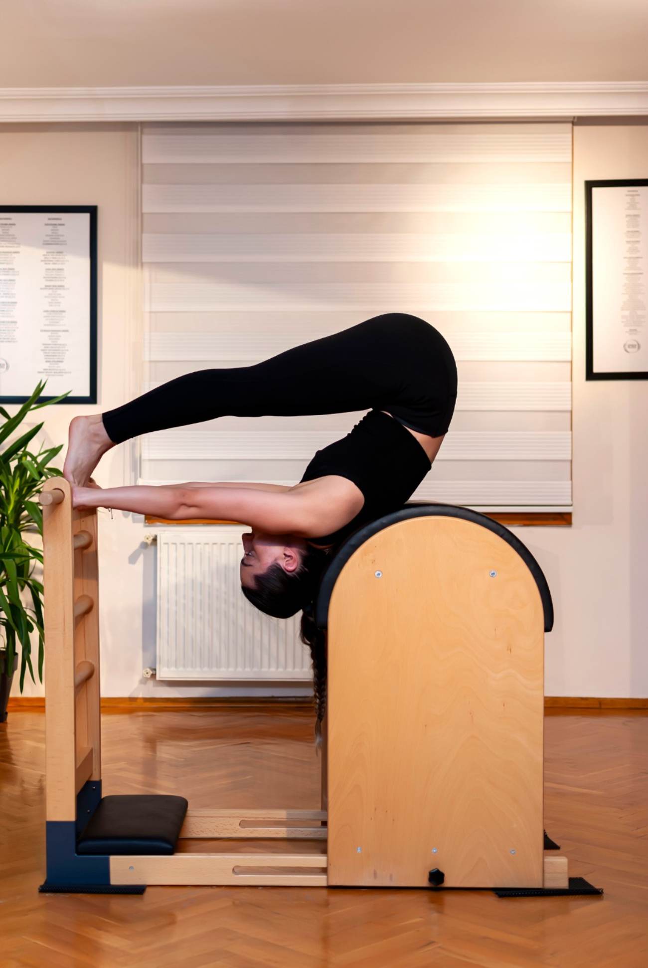 Arya İnci Güngör Pilates Stüdyosu - Öveçler Balık Restoranları - 4. Fotoğraf