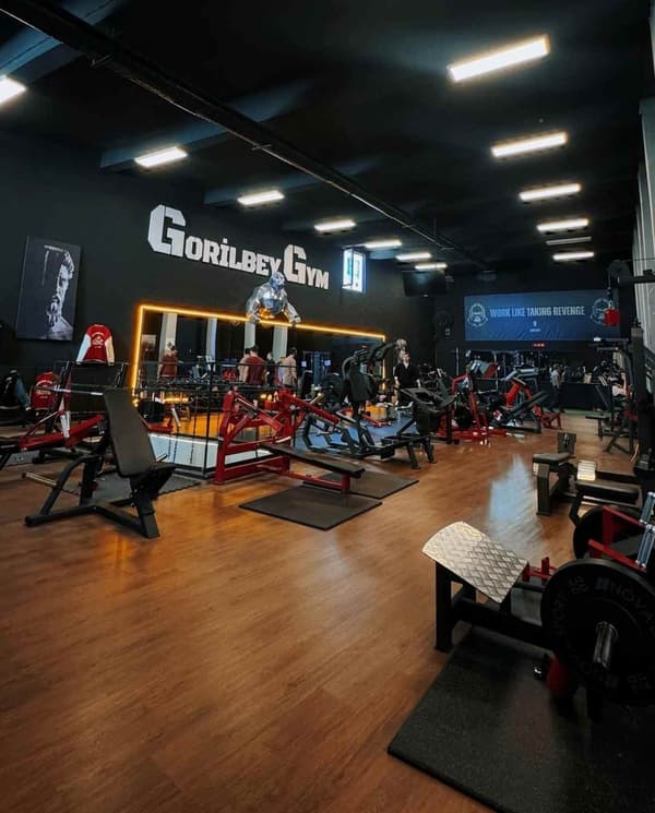 Gorilbey Gym - Tunalı - 1. Fotoğraf Gorilbey Gym - Tunalı - 1. Fotoğraf