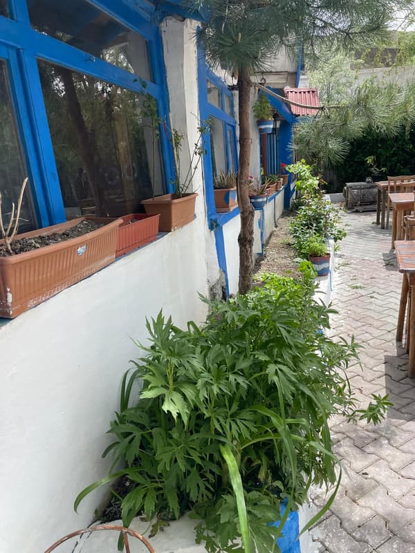 Şairin Yeri - 38. Fotoğraf