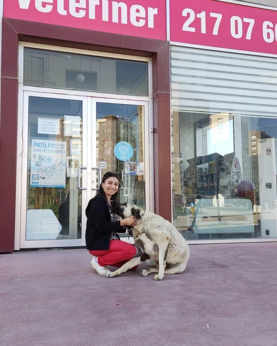 Happy Tails Veteriner Kliniği - Yaşamkent Mekanları - 3. Fotoğraf