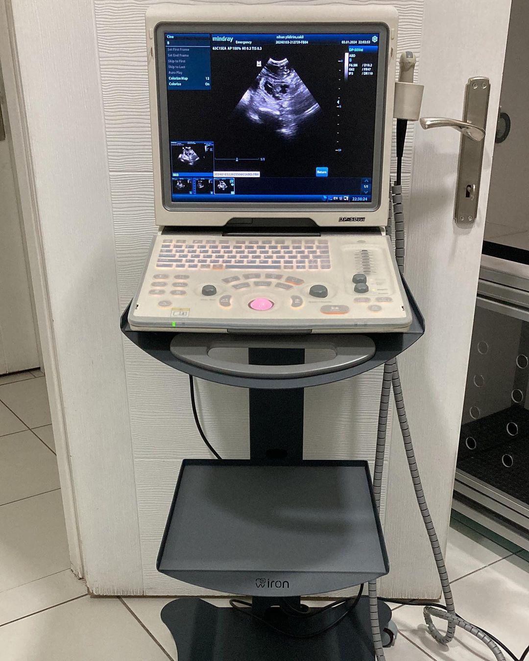 Happy Tails Veteriner Kliniği