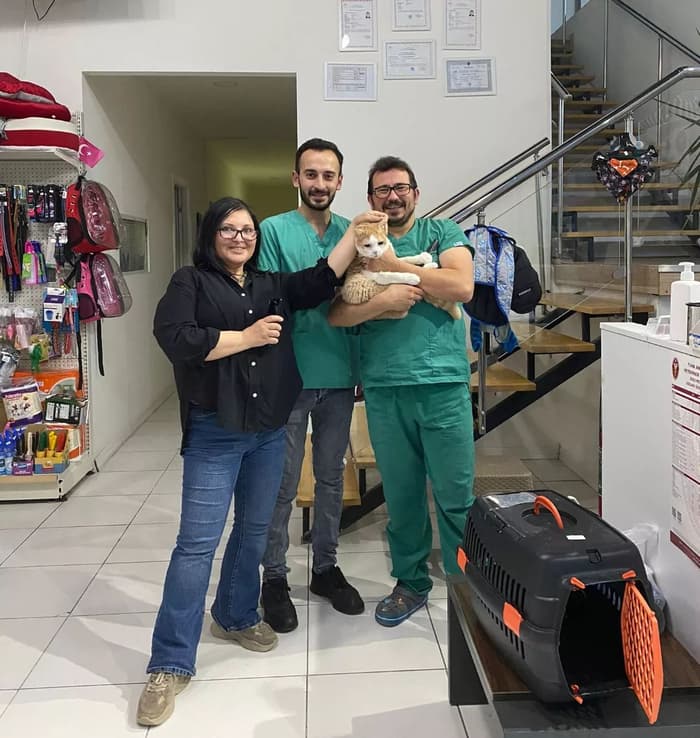 Happy Tails Veteriner Kliniği - 1. Fotoğraf