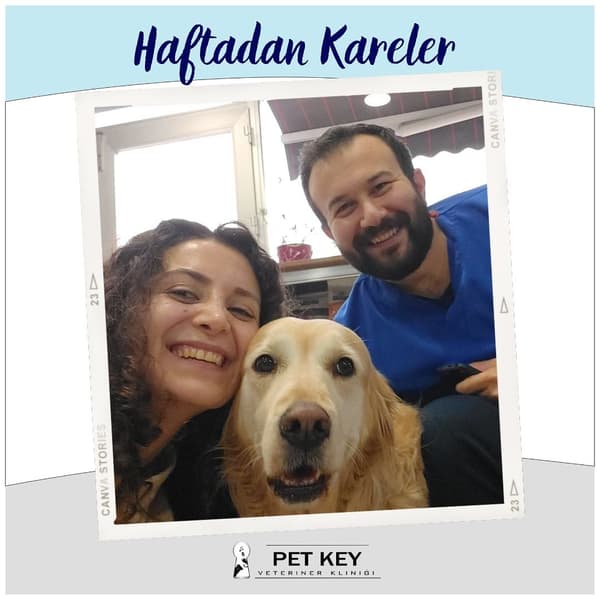 Pet Key Veteriner Kliniği - 1. Fotoğraf