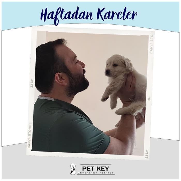 Pet Key Veteriner Kliniği - 5. Fotoğraf