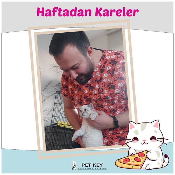 Pet Key Veteriner Kliniği - 7. Fotoğraf